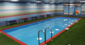 zdorove rebenka pri podgotovke k shkole 2f0793d