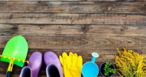 nemnogo o tom chto ponadobitsja dlja dachnogo otdyha s malenkim rebenkom fac93c3