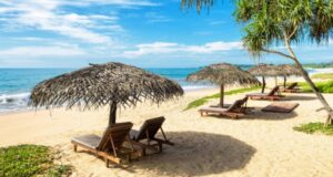 mid rf prosit rossijan v shri lanke ne pokidat oteli 3eaa405