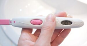 beremennost i ovuljacija osnovnye ponjatija 665e567