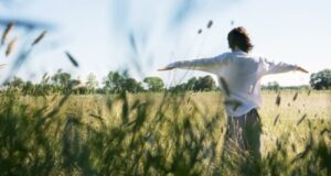 turmarshruty po voenno istoricheskim mestam poluchat razvitie aa5e691