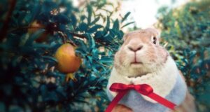 s novym godom 01cca45