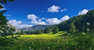 v rossii ne planirujut vozvrashhat programmu turkeshbeka f93114a