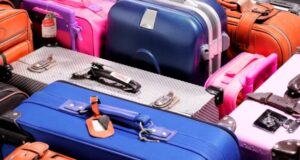 zakazat dostavku bagazha iz aeroporta domodedovo teper mozhno onlajn d25a628