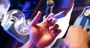 brosit kurit spajsy slozhnee chem otkazatsja ot kannabisa 4717192