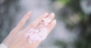 vesne dorogu pravila uhoda za rukami posle zimy e6c1883