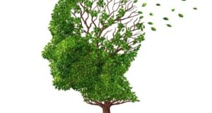 eksperti rozpovili jak trenuvati pamjat dlja zberezhennja zdorovja mozku na starosti e09d681