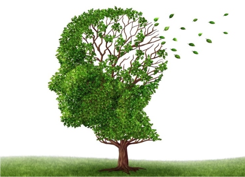 Експерти розповіли, як тренувати пам'ять для збереження здоров'я мозку на старості