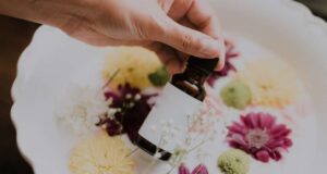 poka morshhinki zachem nashej kozhe nuzhny pchelinoe molochko i prebiotiki b5059df