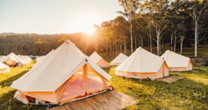 spros na otdyh v glempingah i gostevyh domah rastet bcf7563