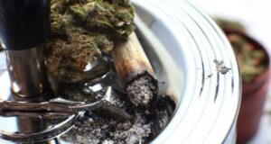 marihuana mozhet isportit son uchenye 5c75c7d