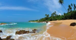 shri lanka mozhet otmenit vizovyj sbor dlja rossijan 8e136ab