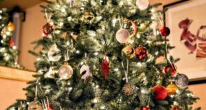 eksperty nazvali top napravlenij nanbspnovogodnie kanikuly 34b5c18