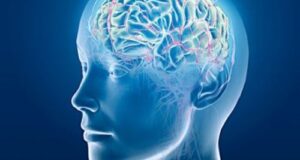 chi potriben cukor golovnomu mozku vidpovidi likariv fb7e9a0