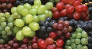 vinograd poleznye svojstva 76001ae