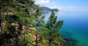 rfnbspprinjala uchastie vnbspseminare ponbspprodvizheniju ekoturizma fa65024